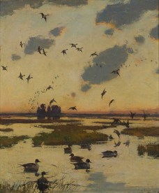/userimg/RdlYR/The Duck Marsh - Copy.jpg